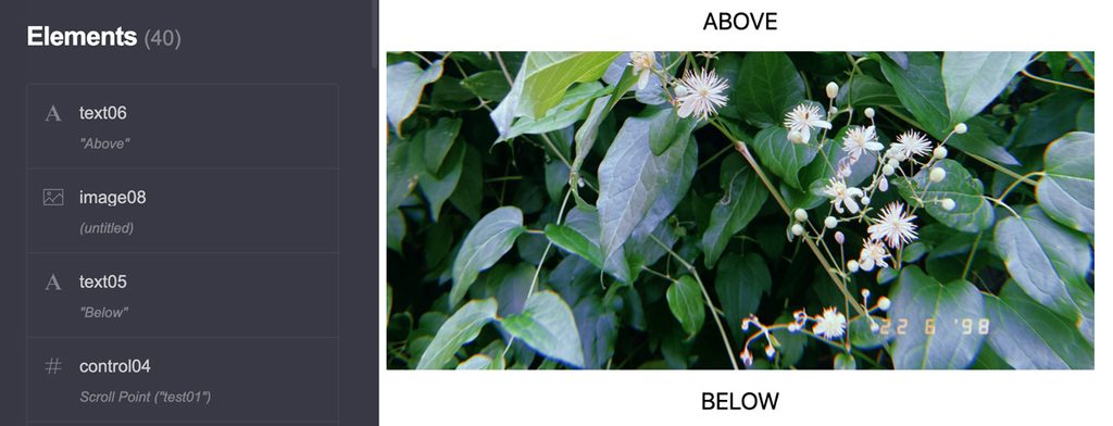 How to Put Text Next to an Image in Carrd