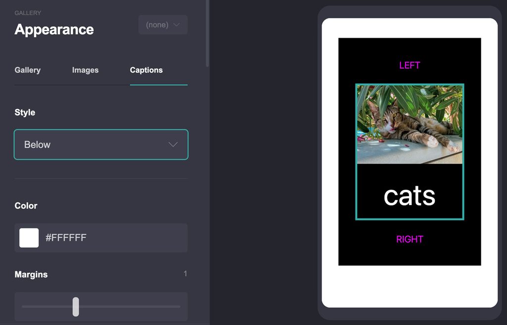How to Add Text to an Image via Gallery Element